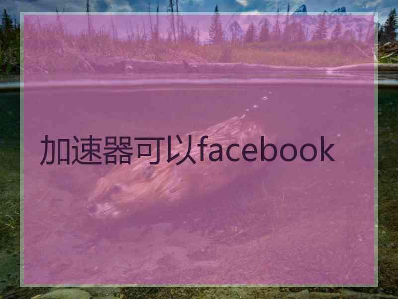 加速器可以facebook