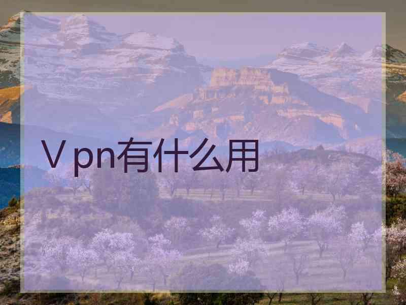 Ⅴpn有什么用