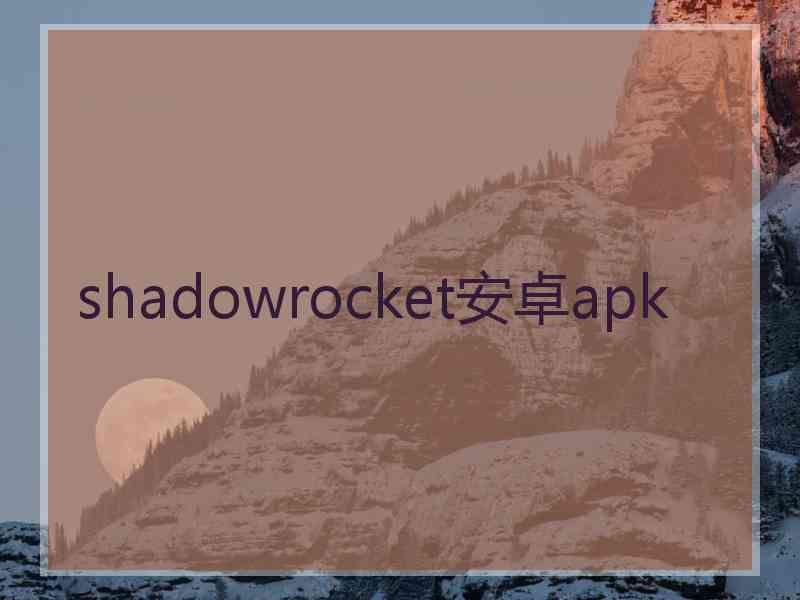 shadowrocket安卓apk