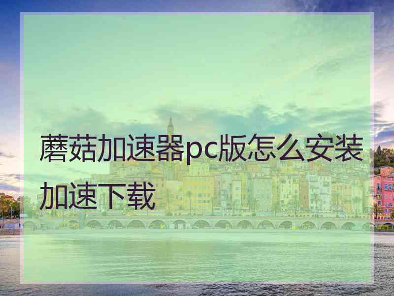 蘑菇加速器pc版怎么安装加速下载