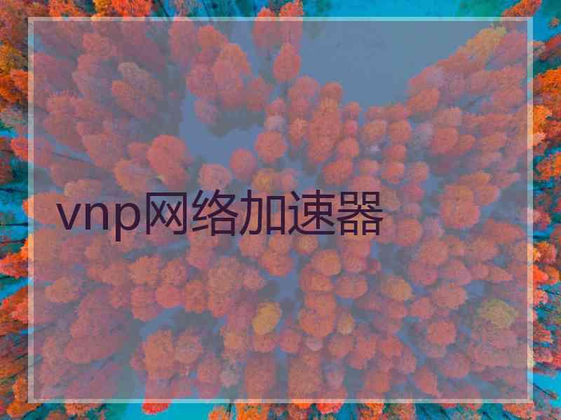 vnp网络加速器