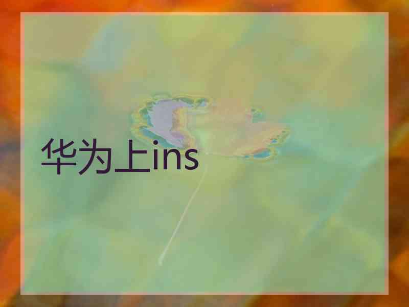 华为上ins