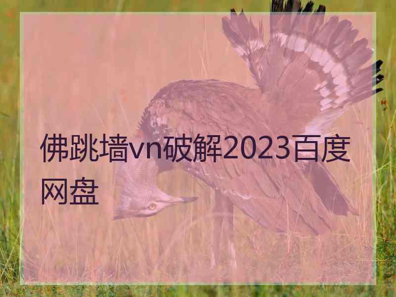 佛跳墙vn破解2023百度网盘