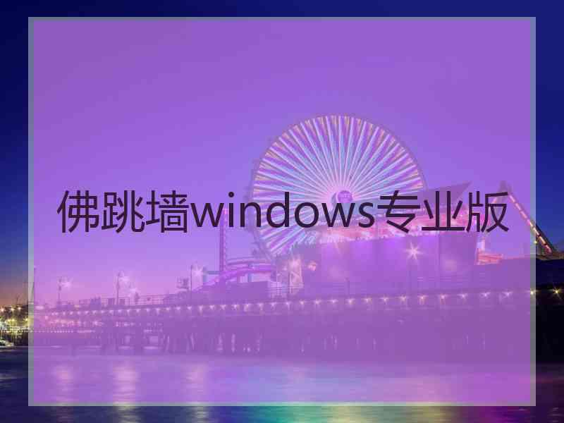 佛跳墙windows专业版