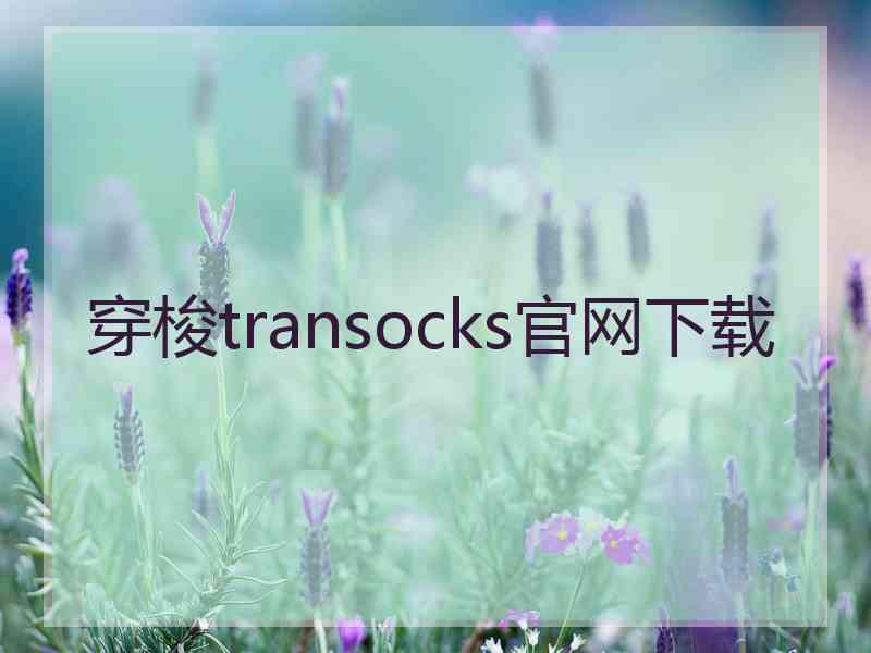 穿梭transocks官网下载