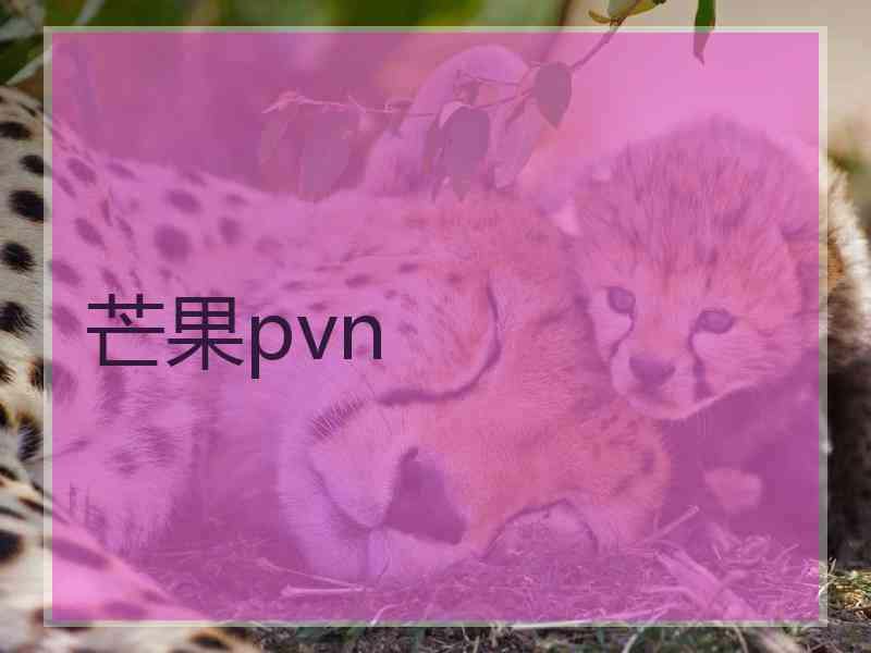 芒果pvn