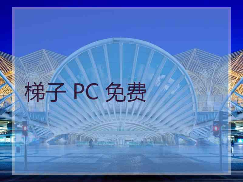 梯子 PC 免费