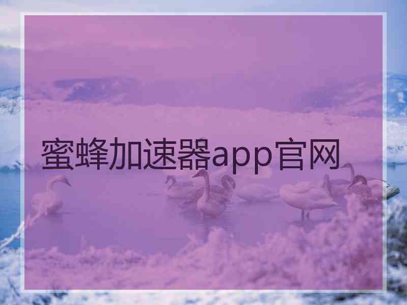 蜜蜂加速器app官网