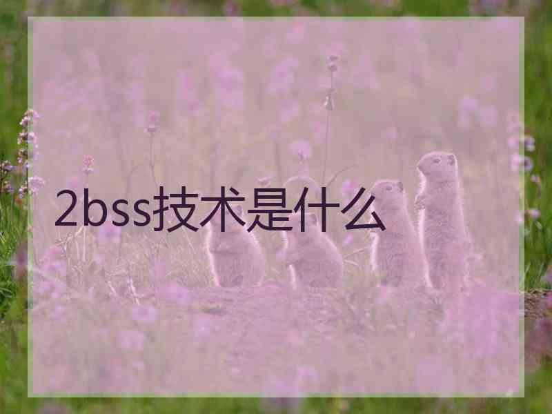 2bss技术是什么