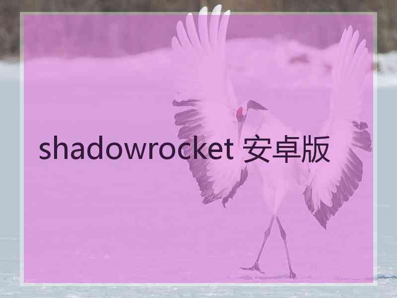 shadowrocket 安卓版