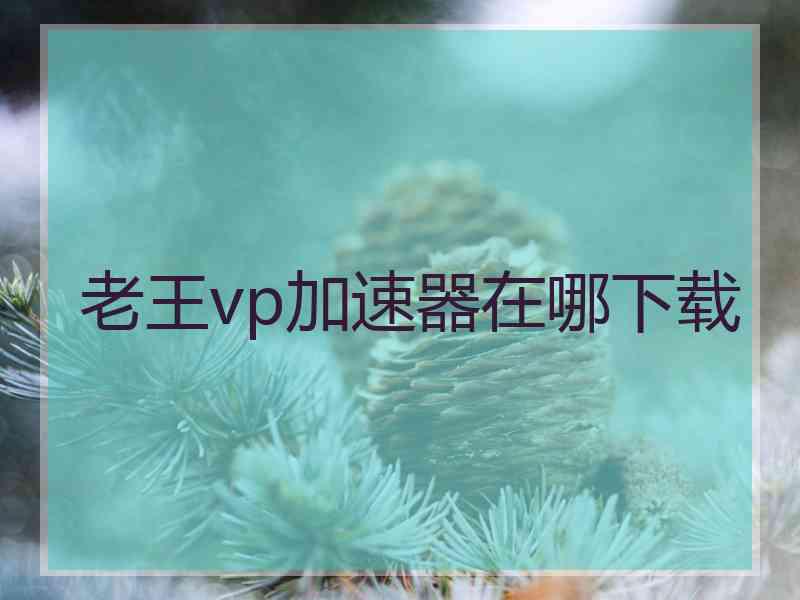 老王vp加速器在哪下载