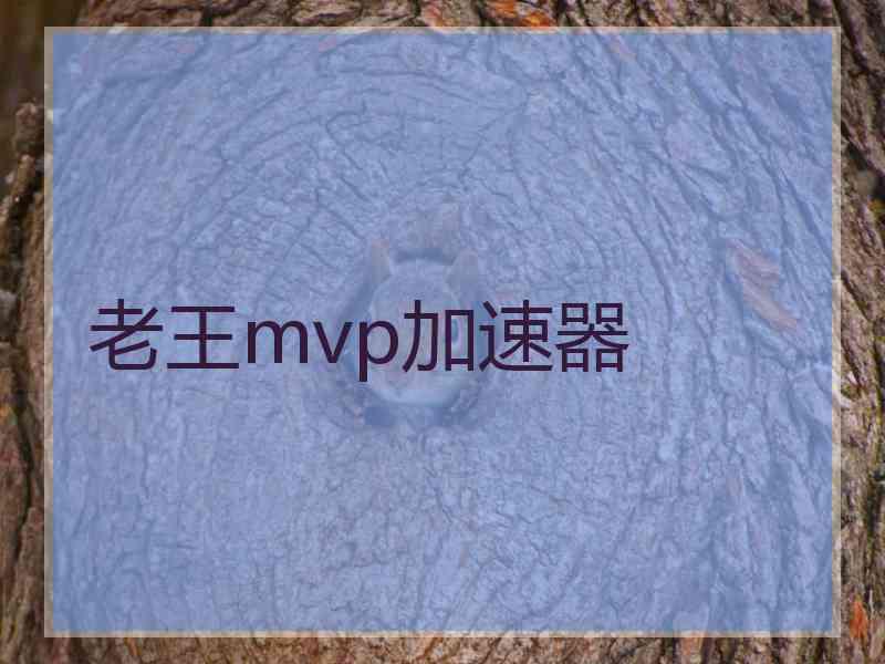 老王mvp加速器