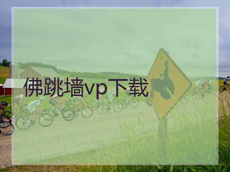 佛跳墙vp下载