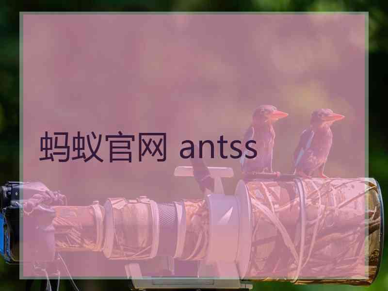 蚂蚁官网 antss