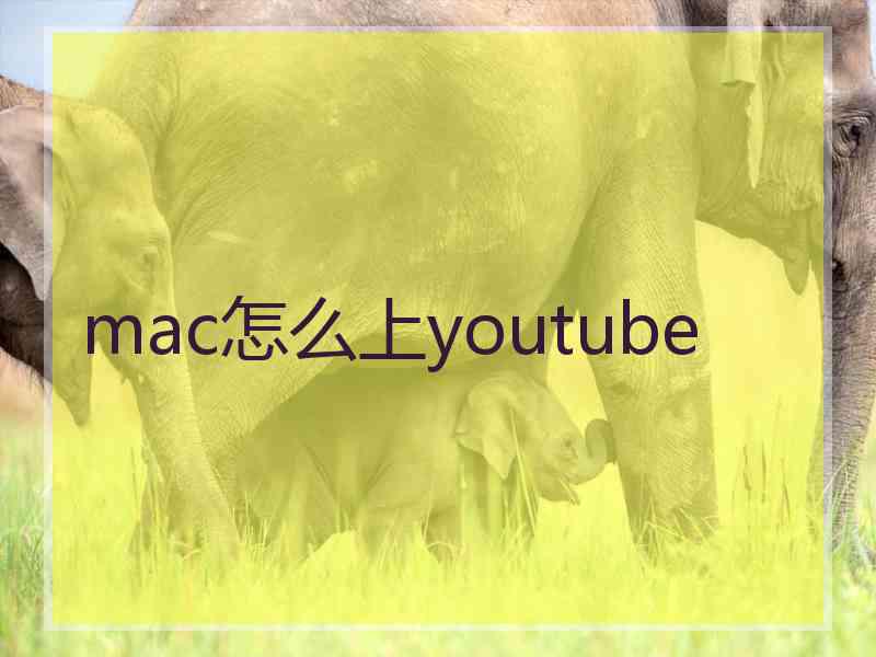 mac怎么上youtube