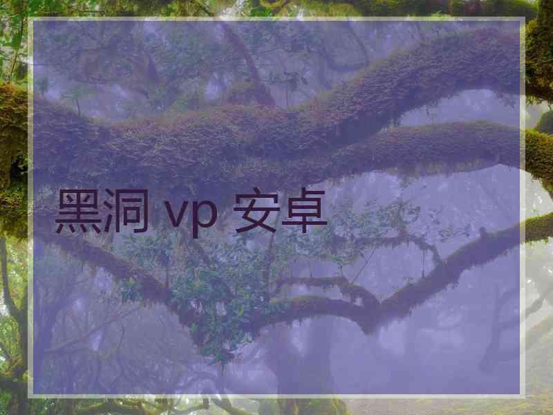 黑洞 vp 安卓