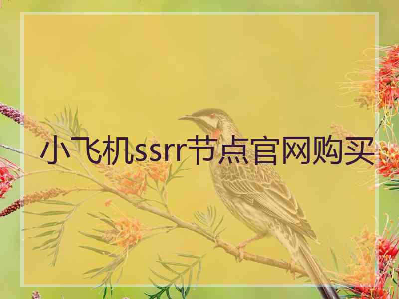 小飞机ssrr节点官网购买