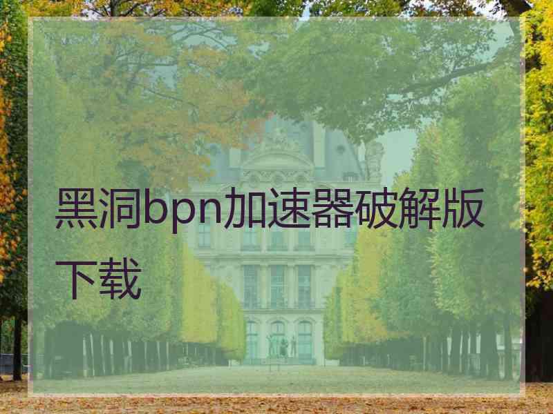 黑洞bpn加速器破解版下载