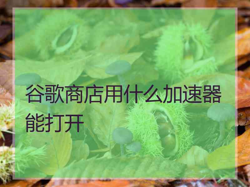 谷歌商店用什么加速器能打开