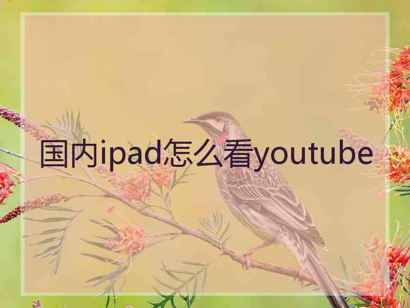 国内ipad怎么看youtube