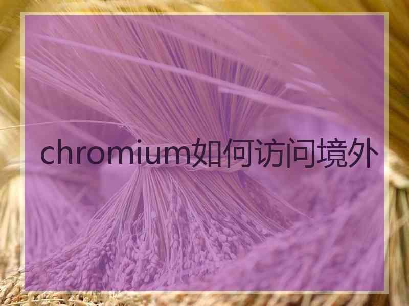 chromium如何访问境外