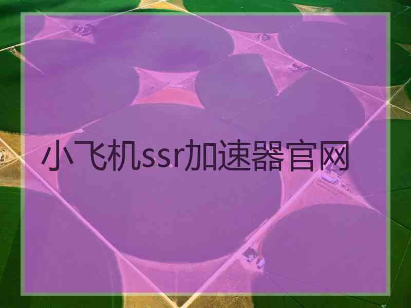 小飞机ssr加速器官网