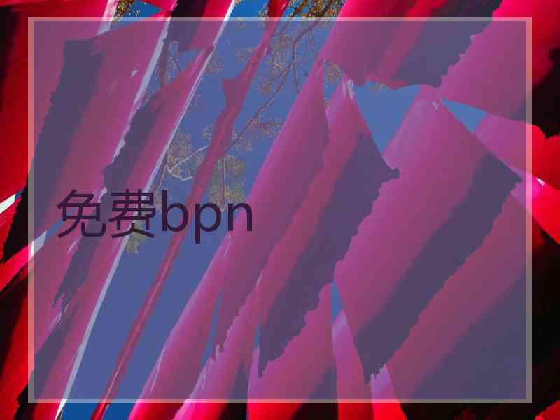 免费bpn