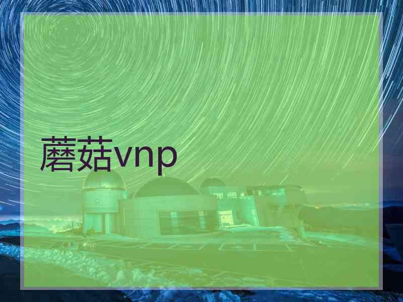 蘑菇vnp