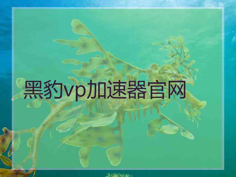 黑豹vp加速器官网