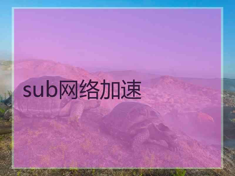 sub网络加速