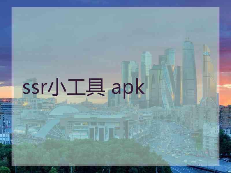 ssr小工具 apk