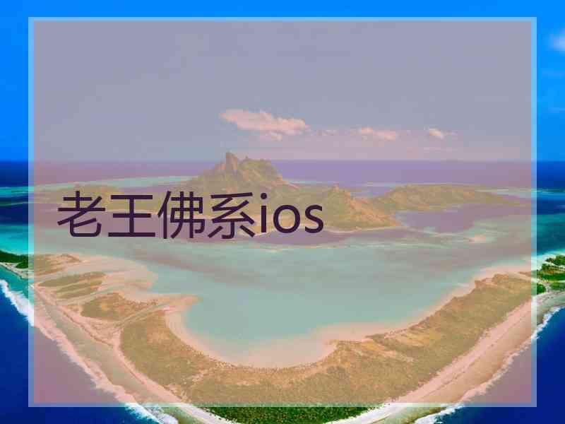 老王佛系ios