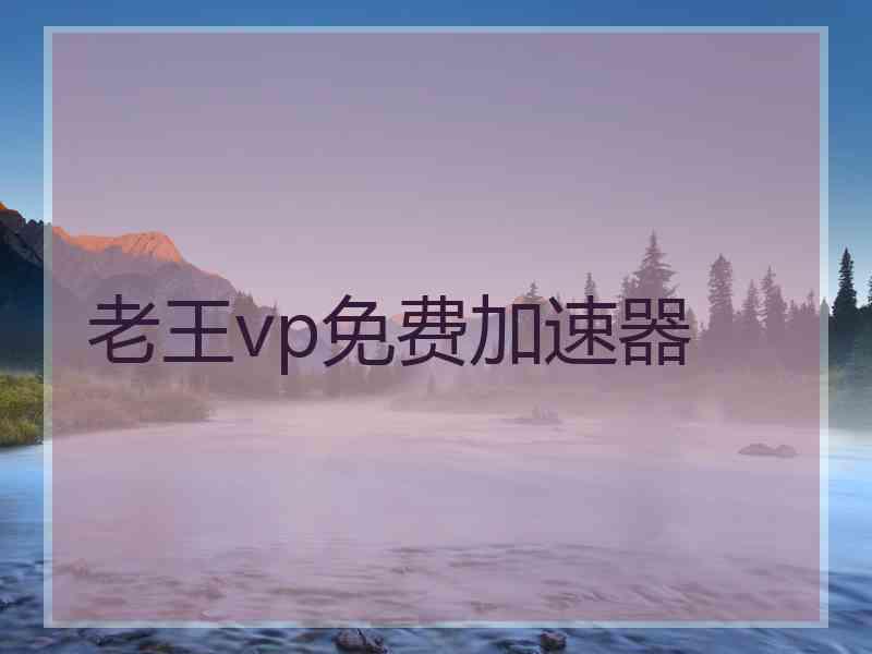 老王vp免费加速器