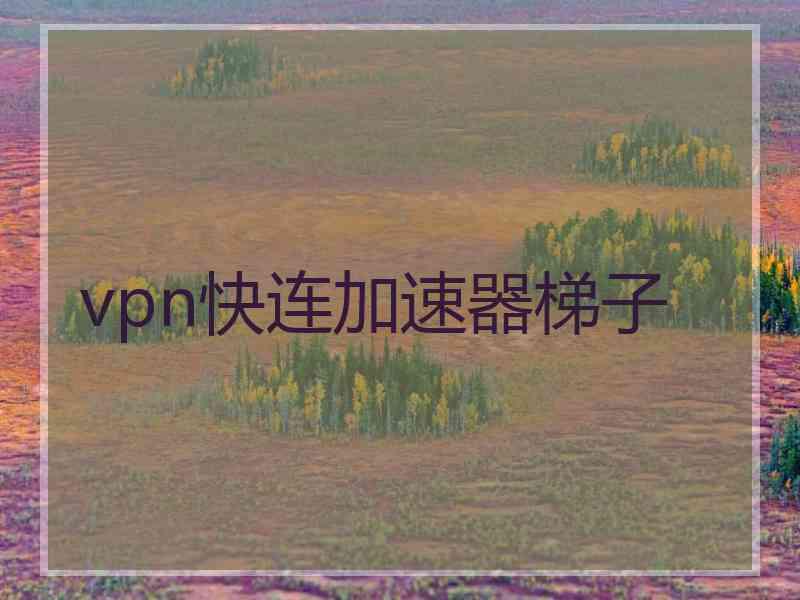 vpn快连加速器梯子