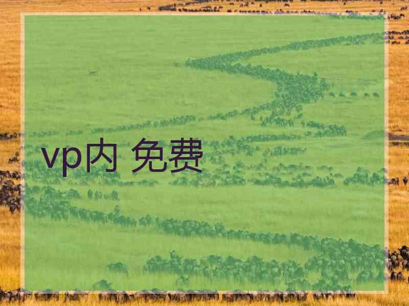 vp内 免费