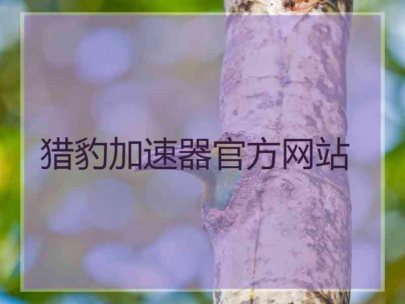 猎豹加速器官方网站