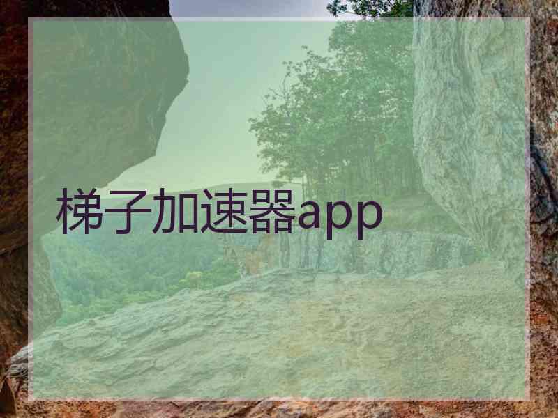 梯子加速器app