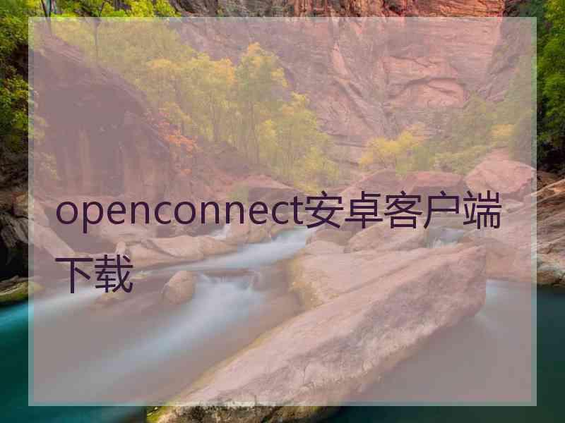 openconnect安卓客户端下载