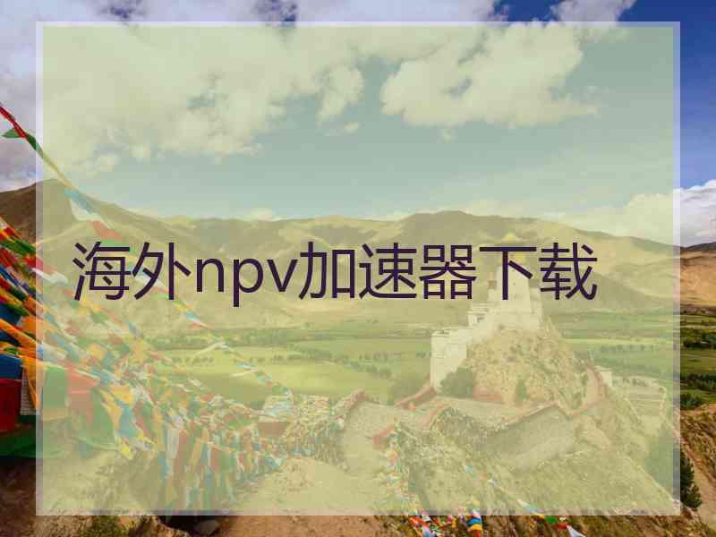 海外npv加速器下载