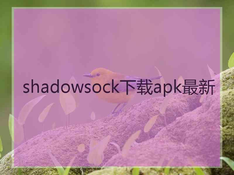 shadowsock下载apk最新