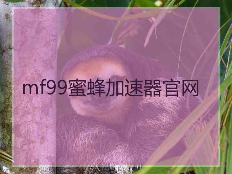 mf99蜜蜂加速器官网