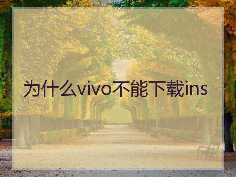 为什么vivo不能下载ins