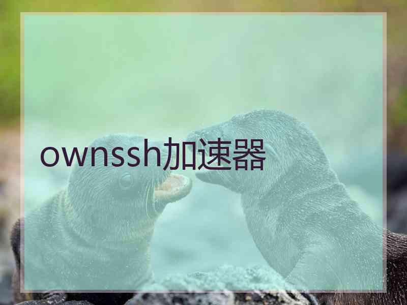 ownssh加速器