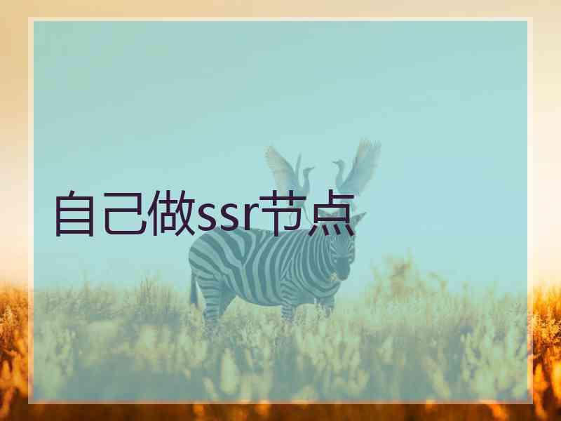 自己做ssr节点