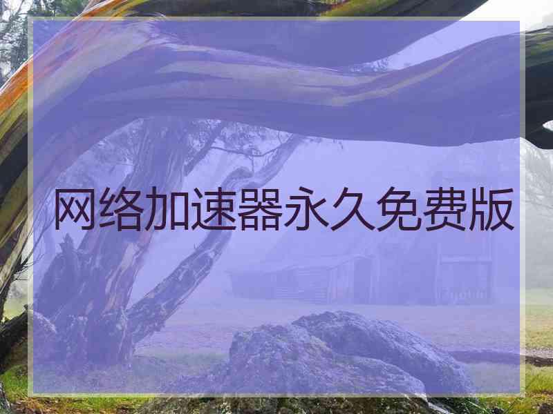 网络加速器永久免费版