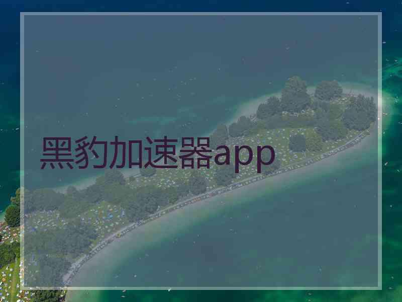 黑豹加速器app