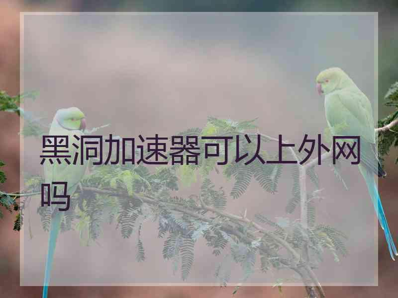 黑洞加速器可以上外网吗