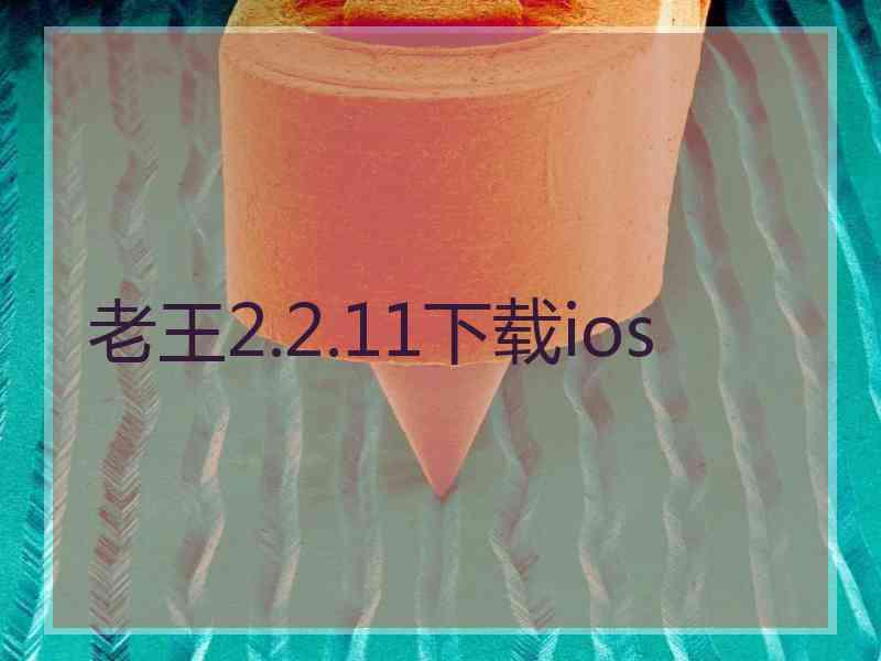 老王2.2.11下载ios