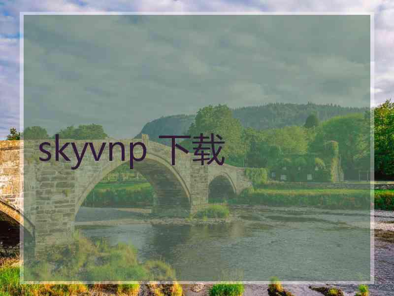 skyvnp 下载