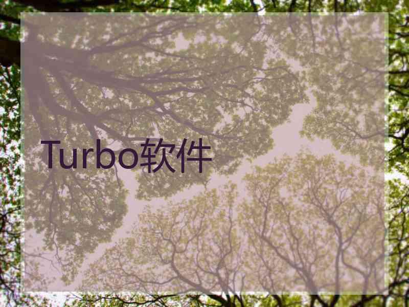 Turbo软件